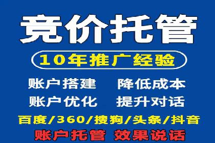 金融行业SEM运营托管的策略与效果